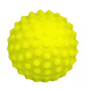 Bolinha Cravo Fisioterapia e Fortalecimento Gmed 5