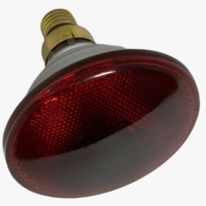Lâmpada Infra Vermelho 110V x 150W InfraLight